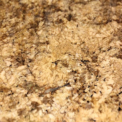 Autumn Leaf Granite Countertops Color Search