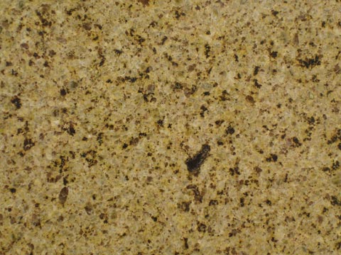 Golden Leaf Granite
