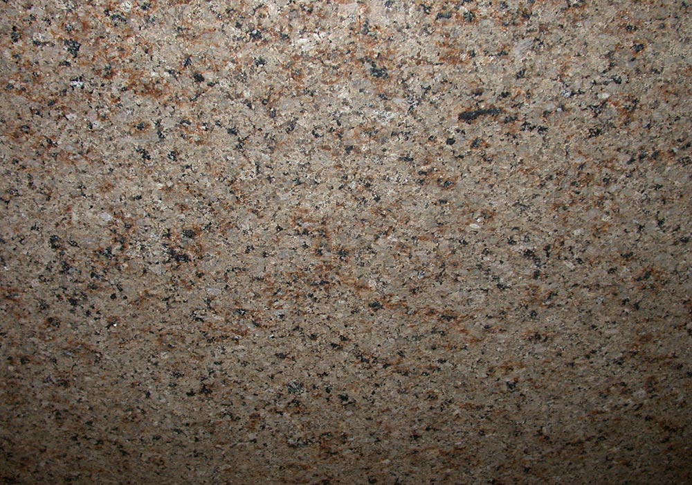 AUTUMN LEAVES  Granite Countertops Color Search