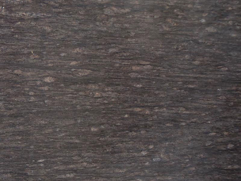 ashoka brown granite Granite Countertops Color Search