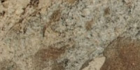 Netuno bordeaux - Massachusetts Atlantis Marble and Granite