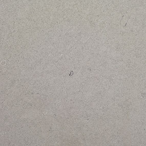 /clientdata/countertop material/quartz/fossil gray matte quartz counter top Colors