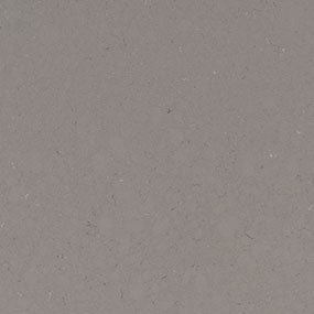 /clientdata/countertop material/quartz/fossil gray quartz counter top Colors