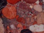 Aquarius Red red Countertops Colors