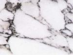 Arabescato Faniello white Marble Italy