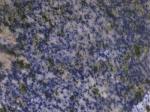 Azul Bahia blue Countertops Colors