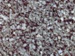 Azul Extremadura grey Granite Spain