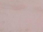 Bansi Pink pink Countertops Colors