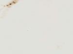 Bianco Spino white Marble Italy
