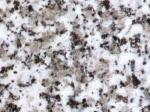 Blanco Perla grey Granite Spain