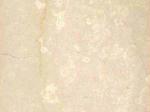 Botticino Classico Stone Countertops Color Search