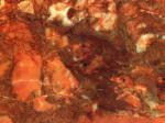 Breccia Pernice red Countertops Colors