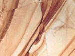 Burma Teak Stone Countertops Color Search