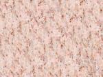 Camelia Pink pink Granite United States