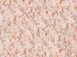 Camelia Pink pink Granite United States