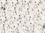 Camelia White Gneiss Countertops Colors