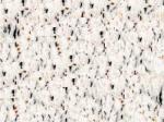 Camelia White Stone Countertops Color Search