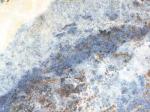 Caribbean blue blue Countertops Colors