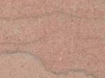 Champion Pink pink Limestone United States