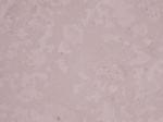 Crema Luna Stone Countertops Color Search