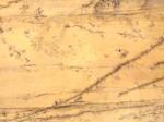 Crema Triana yellow Countertops Colors