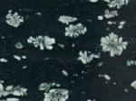 Deep Sea Stone Countertops Color Search