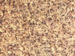 G 1303 yellow Granite China