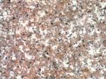 G663 pink Countertops Colors