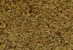 Giallo Antico Plus yellow Granite Brazil