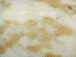 Golden Kristal gold Countertops Colors