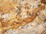 Golden Rustic gold Countertops Colors