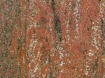 Gran Violet red Migmatite Brazil