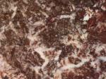 Grigio Rosato red Limestone Italy