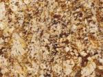 Honey yellow Granite Brazil