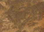 Imperial Wood Dark brown Limestone China