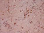 Iran M 210 pink Limestone Iran