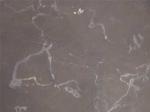 Iran M 227 brown Limestone Iran