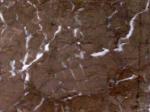 Iran M 232 brown Limestone Iran