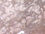 Iran M 233 grey Limestone Iran