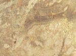 Karnezeika beige Limestone Greece
