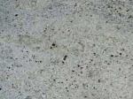Kashmere White Gneiss Countertops Colors
