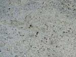 Kashmere White white Gneiss India