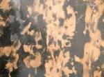 Kind Gold Stone Countertops Color Search