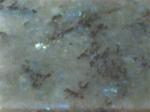 Labradorite Blue Australe Stone Countertops Color Search