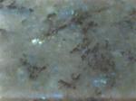 Labradorite Blue Australe blue Countertops Colors