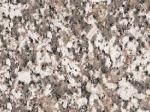 Lio Rose pink Countertops Colors