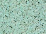 Maikulski Amazonite Countertops Colors