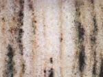Montepuez grey Marble Mozambique