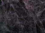 Moundros grey Limestone Greece
