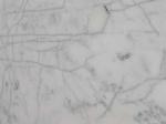 Mugla White white Marble Turkey